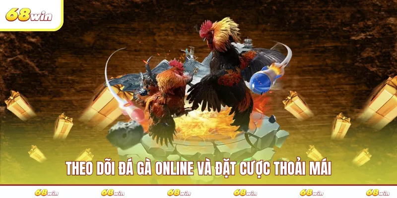 Theo dõi đá gà online và đặt cược thoải mái